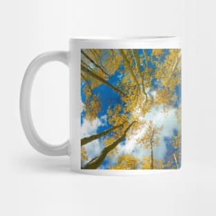 Looking Up At Blue Sky Through A Canopy Of Fall Colored Aspen Trees Mug